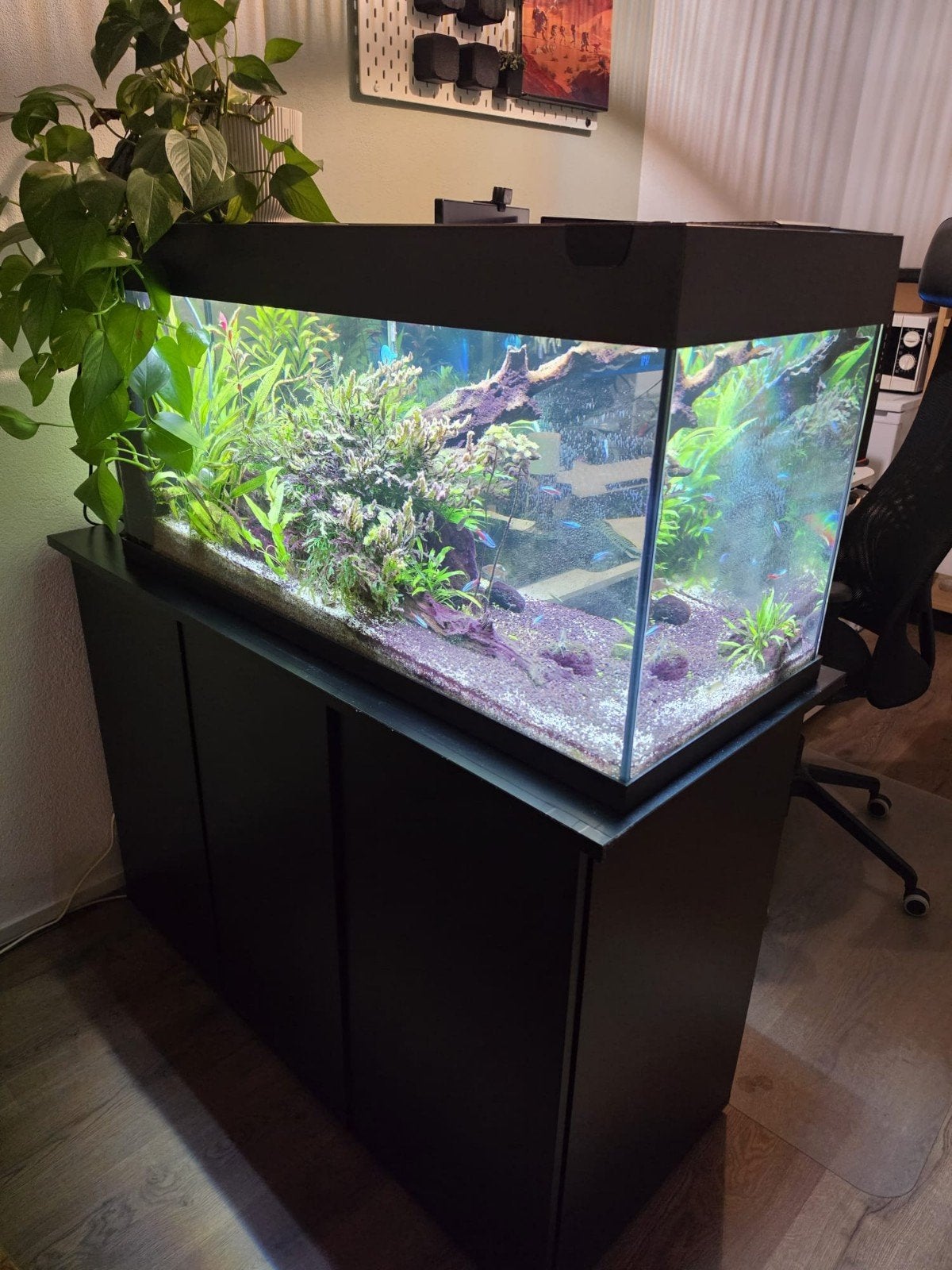 Juwel Rio 180 met autofeeder, meubel en vissen, Ophalen, Gevuld zoetwateraquarium
