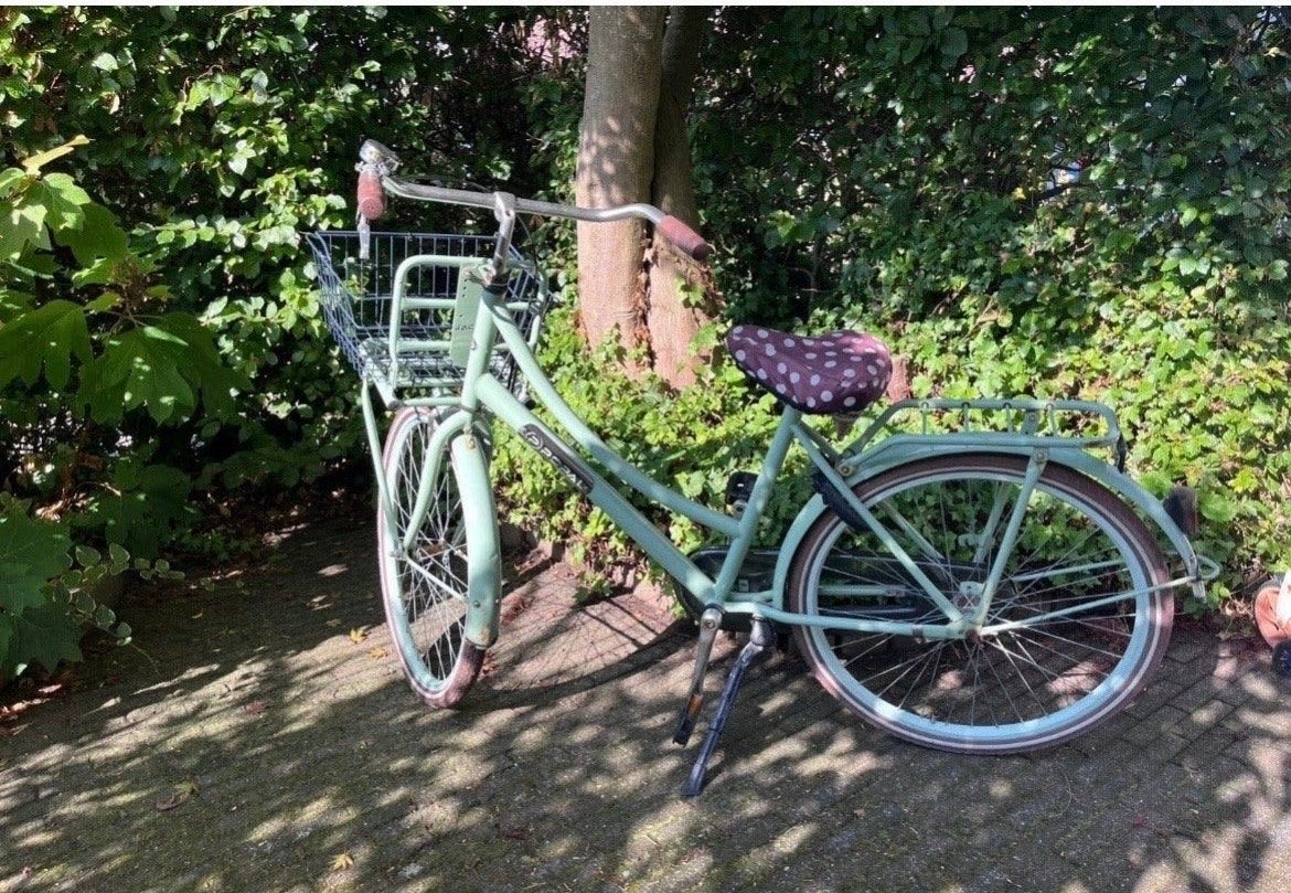 Mintgroene meisjes met mandje 26 inch, Ophalen, Gebruikt