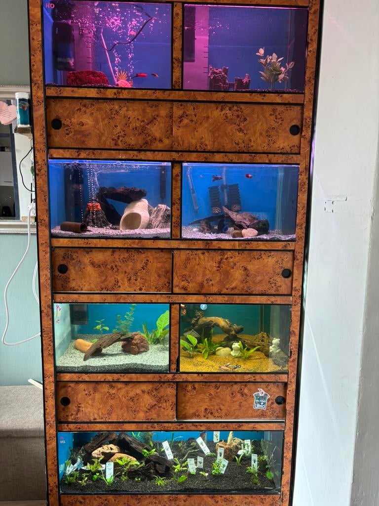 Aquarium stelling zie beschrijving, Dieren en Toebehoren, Vissen | Aquaria en Toebehoren, Ophalen of Verzenden, Gebruikt, Leeg aquarium