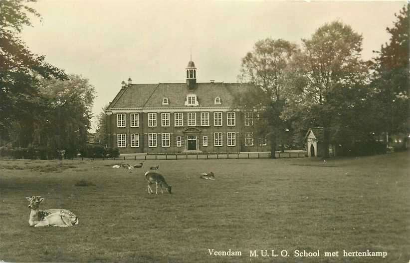 380-879-003 Veendam MULO School, Verzenden, Voor 1920, Groningen