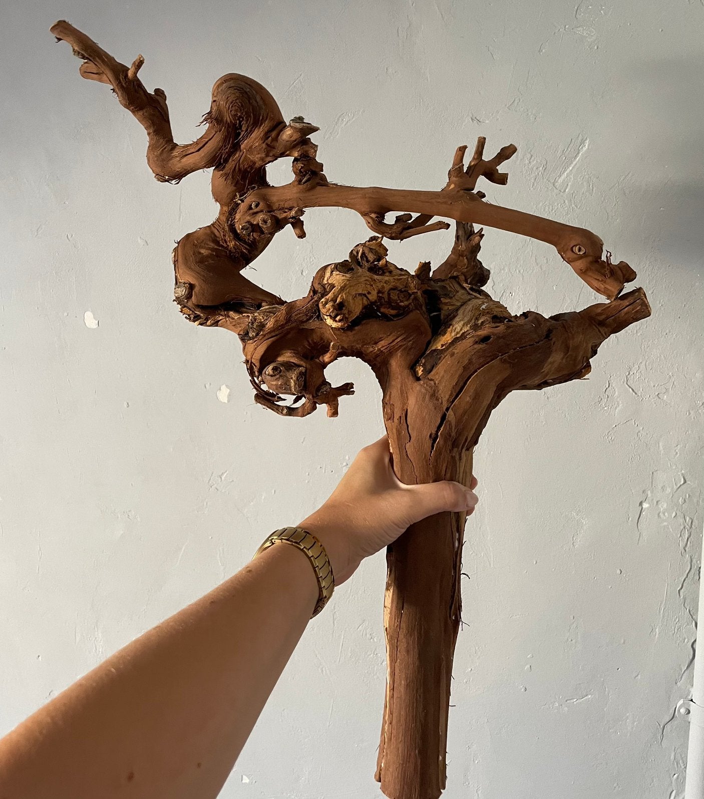 Driftwood en wijnranken voor terrarium, Ophalen, Gebruikt