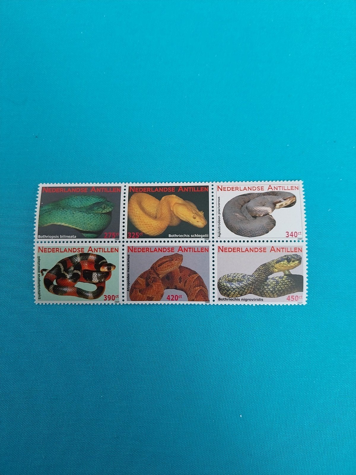 Nederlandse Antillen 1772-1777slangen 2009 postfris mi 20 eu, Ophalen of Verzenden, Dier of Natuur