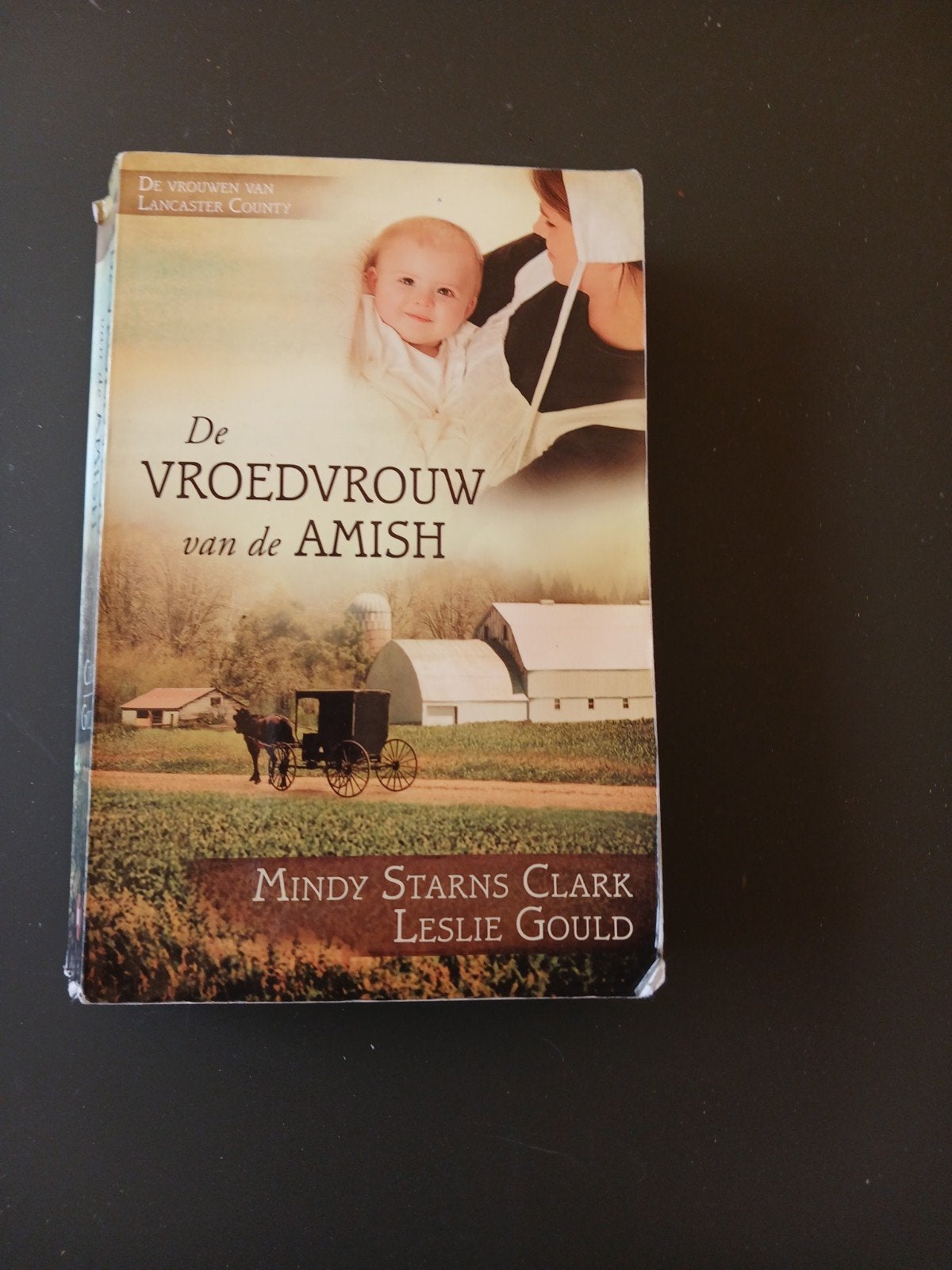 De Vroedvrouw van de Amish - Mindy Starns Clark, Ophalen of Verzenden, Gelezen, Mindy Starns Clark, Leslie Gould, Amerika