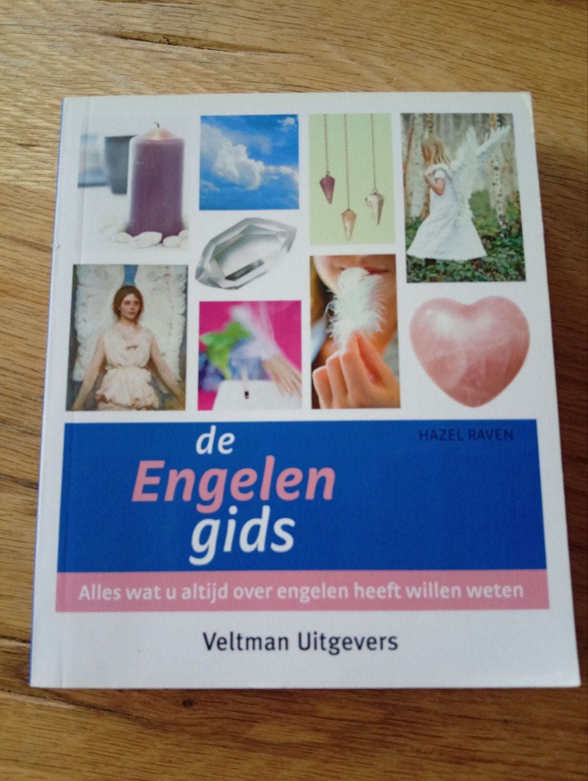 De Engelen Gids - Alles over Engelen, Boeken, Achtergrond en Informatie, Spiritualiteit algemeen, Hazel Raven, Ophalen of Verzenden