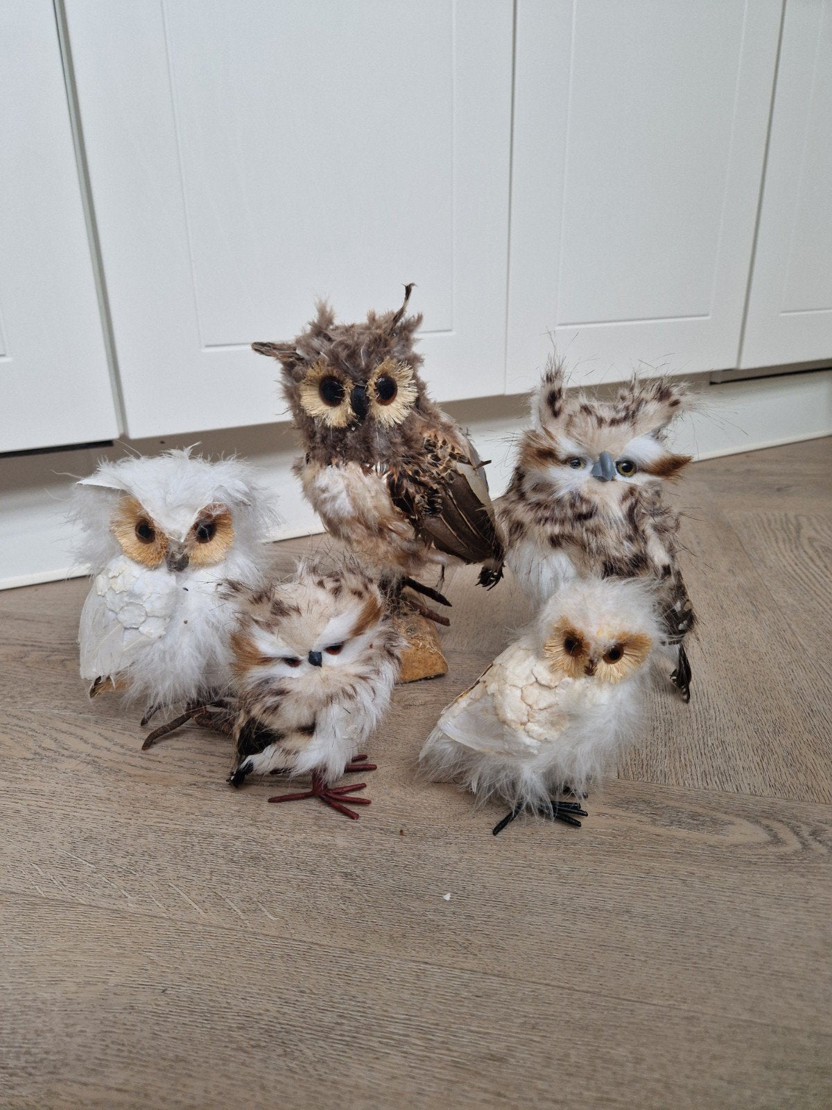 set 5 uilen zgan, Ophalen of Verzenden, Zo goed als nieuw