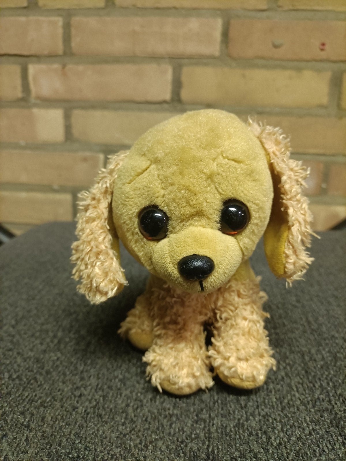 Ty hond knuffel Sadie 15 cm zo goed als nieuw, Kinderen en Baby's, Speelgoed | Knuffels en Pluche, Zo goed als nieuw, Klein (minder dan 20 cm)