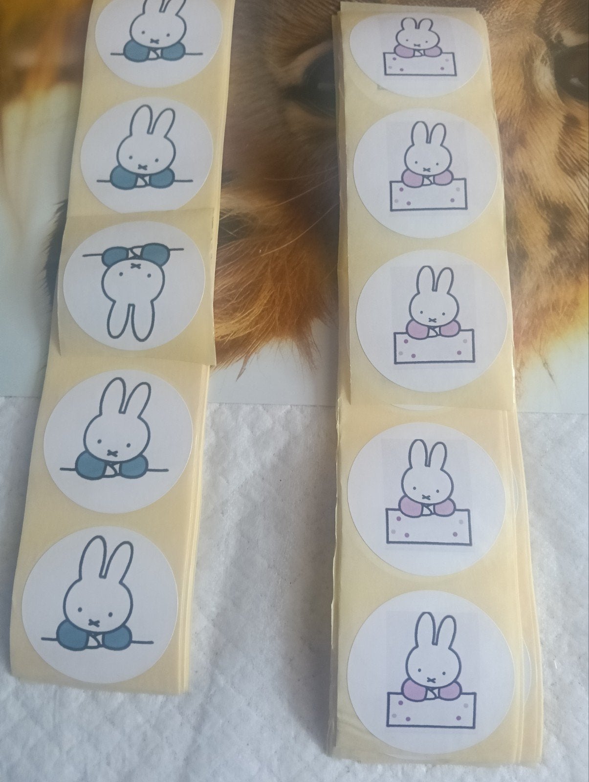 Nijntje stickers per stuk, Ophalen of Verzenden, Nieuw, Strip of Tekenfilm