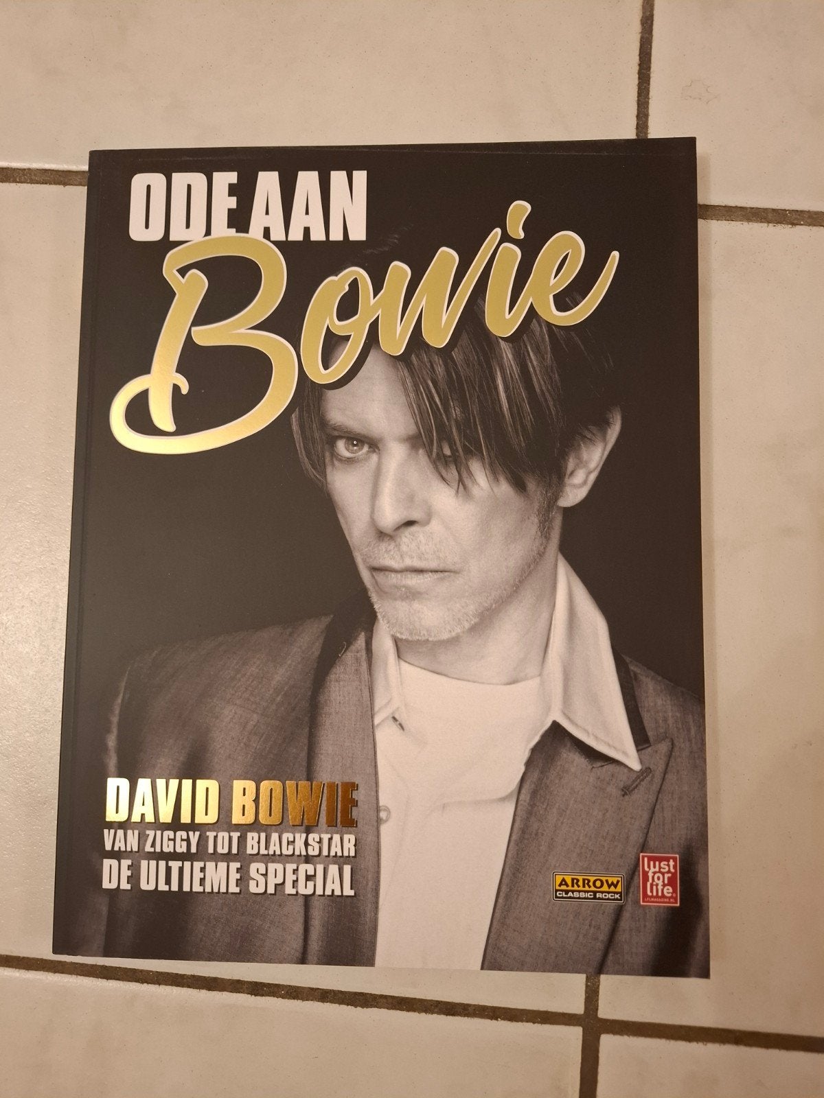 Ode aan David Bowie Boek., Boeken, Ophalen, Nieuw