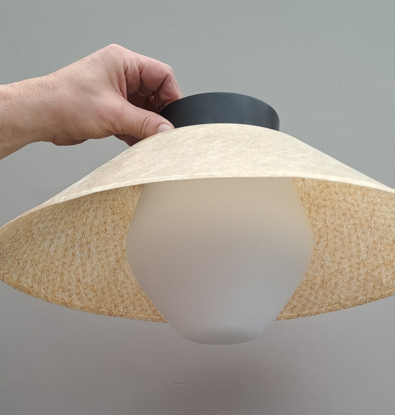 Zeldzame plafondlamp van Louis Kalff, Ophalen
