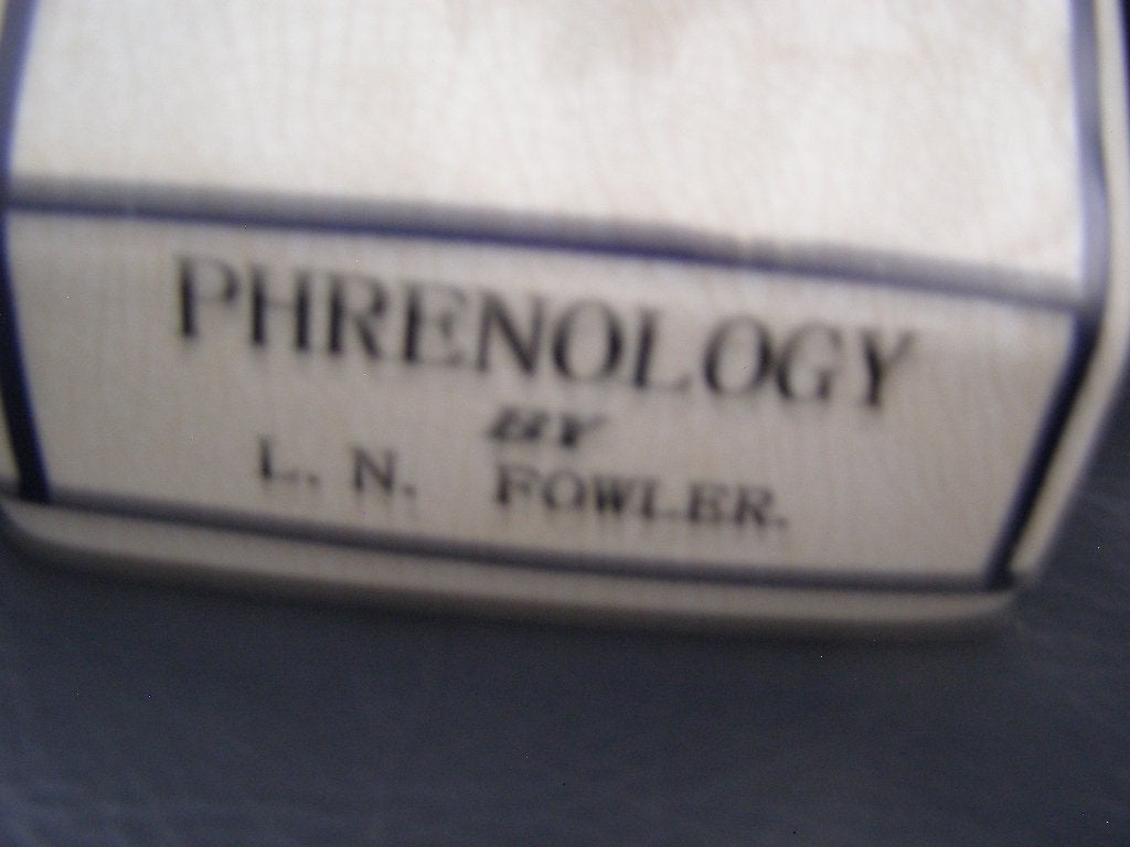 Phrenologie porseleinen hoofd volgens Fowler gaaf 28 cm hoog, Antiek en Kunst, Ophalen of Verzenden