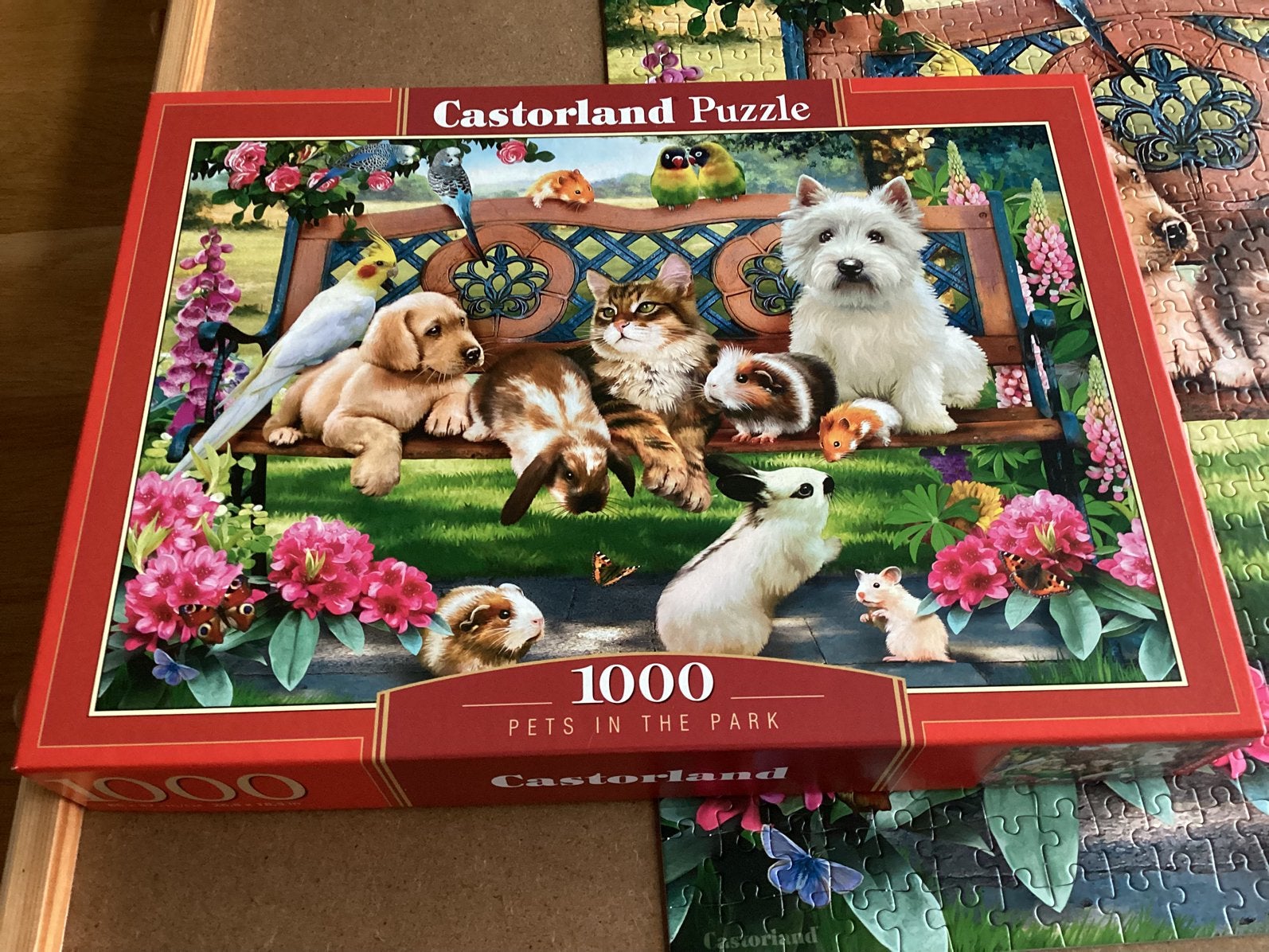 Casterland puzzel 1000 Pets in the Park, Hobby en Vrije tijd, Denksport en Puzzels, Ophalen of Verzenden, 500 t/m 1500 stukjes