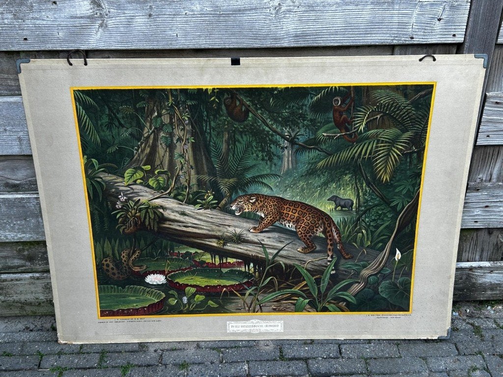 In het Braziliaanse oerwoud, Ophalen of Verzenden, Natuur en Biologie