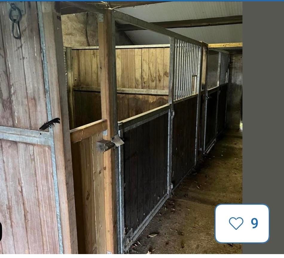Paarden boxen, Dieren en Toebehoren
