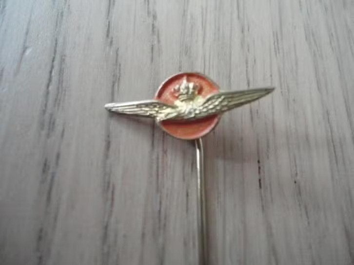 Speld Koninklijke Luchtmacht., Verzenden, Zo goed als nieuw, Overige onderwerpen, Speldje of Pin