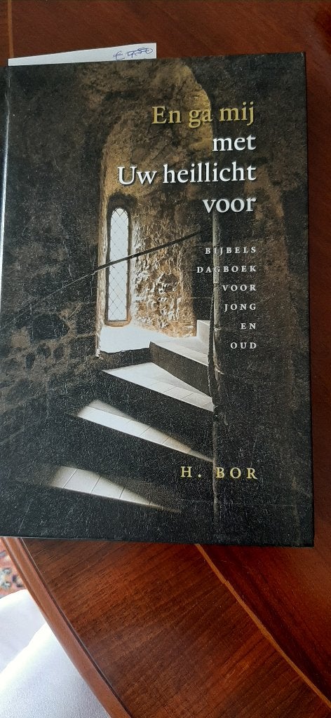 En ga mij met Uw heillicht voor, H. Bor, Ophalen of Verzenden, Nieuw, Christendom | Protestants