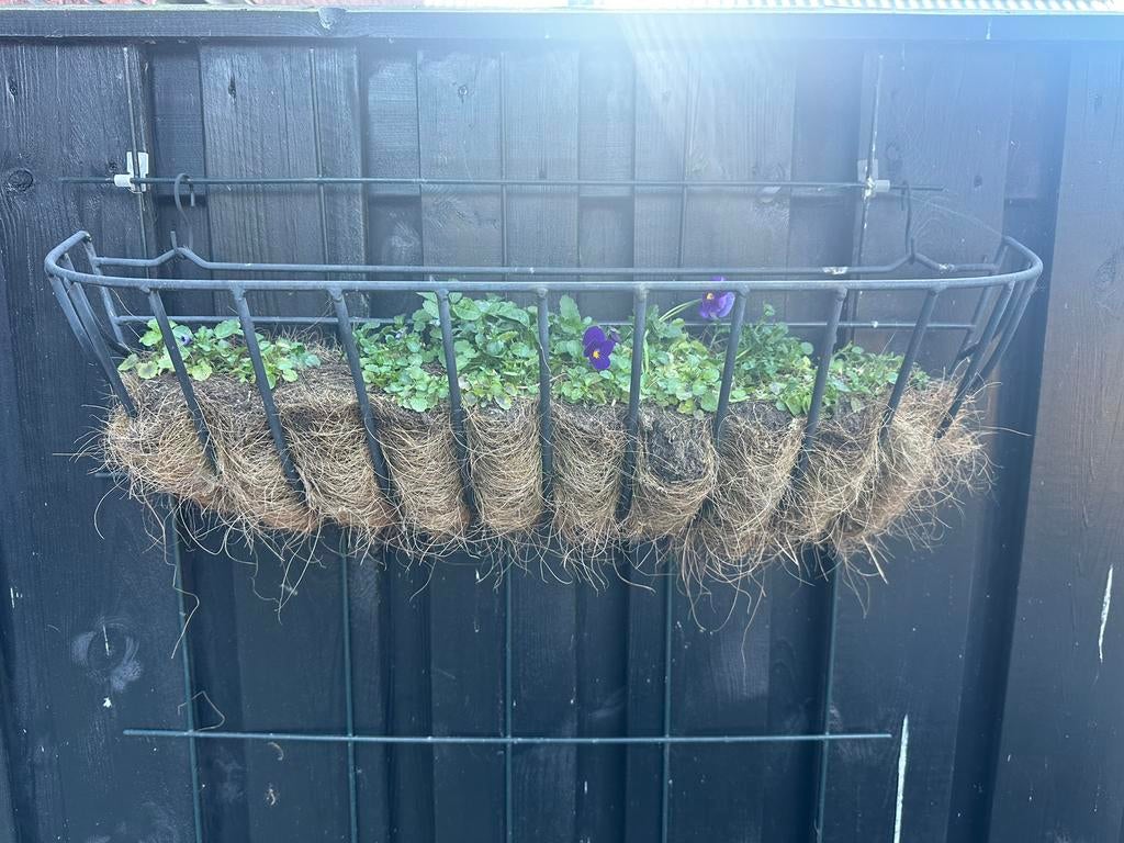 Hangende bloembak / bloempot van metaal met viooltjes, Ophalen, Zo goed als nieuw, IJzer, Sierhekwerk