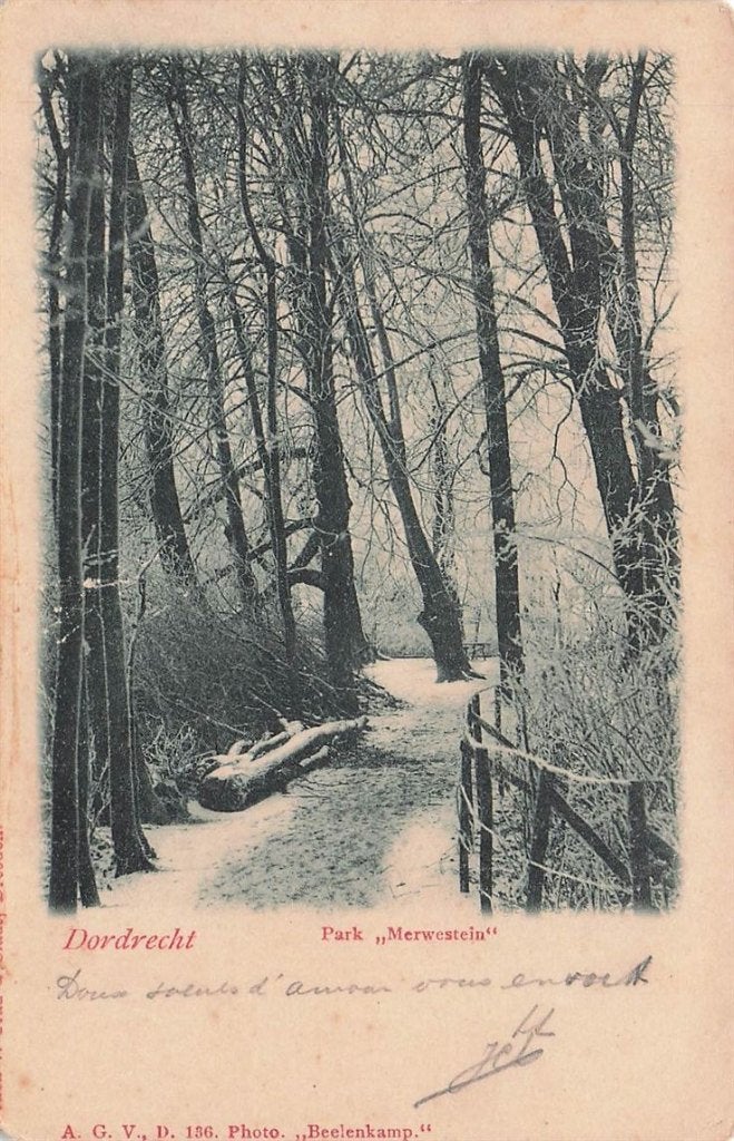 702-267-009 Dordrecht Park Merwestein, Verzenden, Voor 1920, Zuid-Holland
