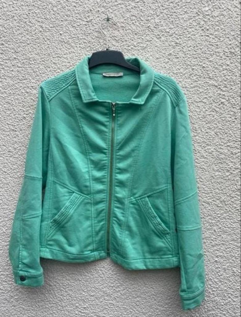 DreamSTAR Groen Jasje Maat L, Ophalen of Verzenden, Zo goed als nieuw, Maat 42/44 (L), Groen