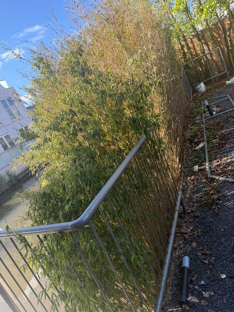 Oude trap balustrade, Ophalen, Gebruikt, IJzer