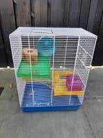 Hamsterhok, Minder dan 60 cm, Gebruikt, Minder dan 75 cm, Ophalen of Verzenden