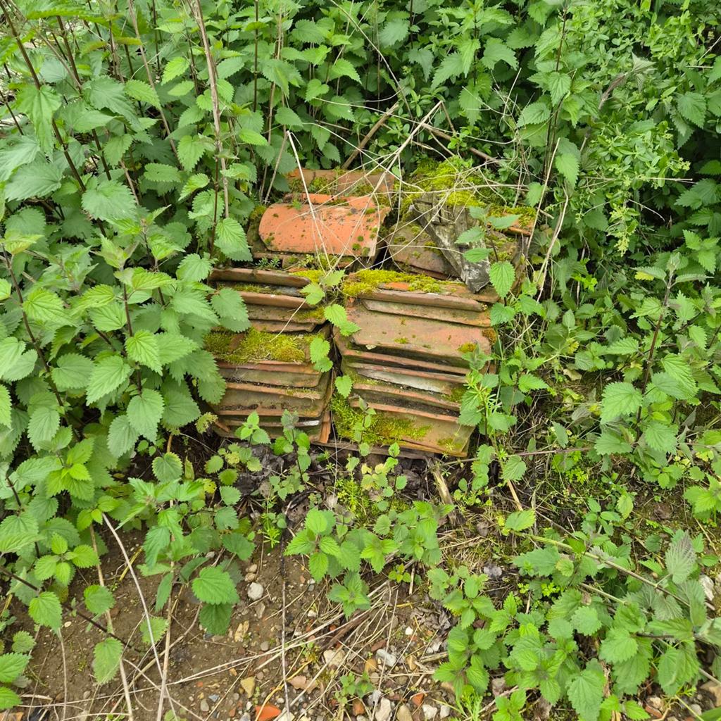 Oud Hollandse pannen rood en zwart, Ophalen, Gebruikt, Steen of Klei, 15 m² of meer