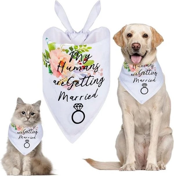 Honden of katten bandana My Humans are Getting Married, Versiering, Nieuw, Ophalen of Verzenden, Struikheide 64,3069lj,Rotterdam