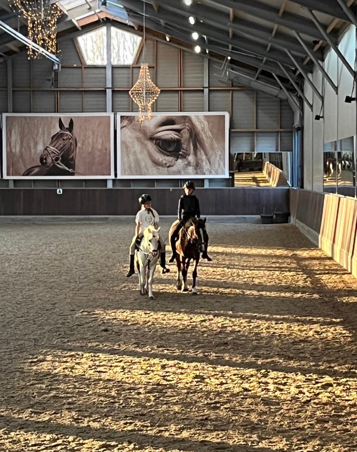 Verzorg pony’s gezocht!, Dieren en Toebehoren, Ophalen of Verzenden, Zo goed als nieuw