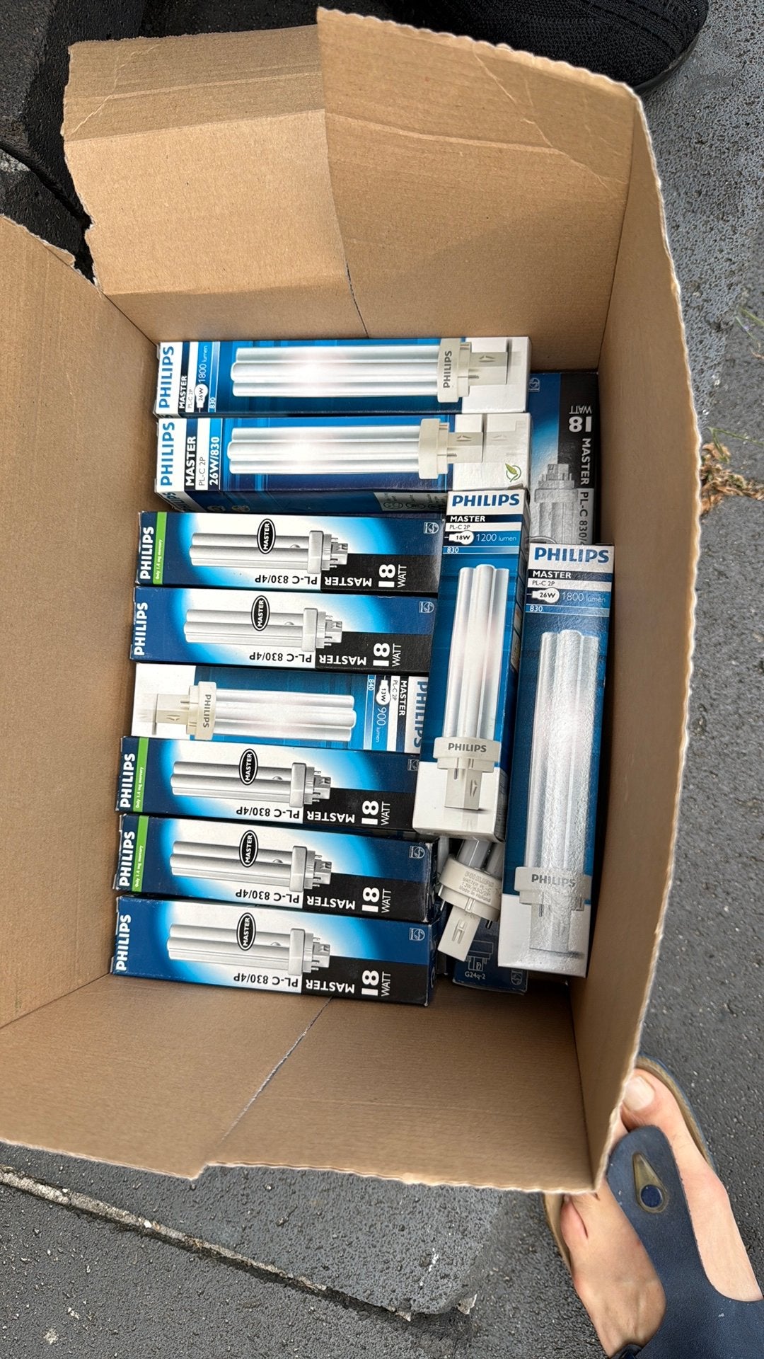 Philips PL-C en PL-L lampen - Diverse types, Ophalen of Verzenden, Nieuw