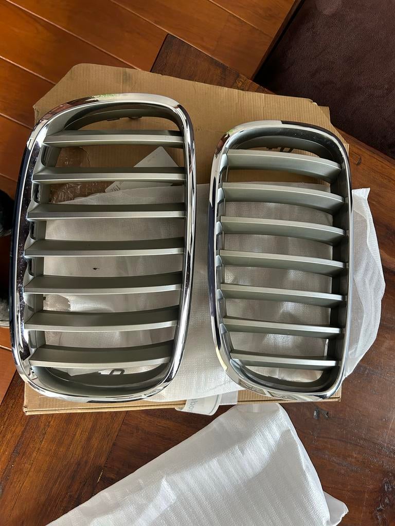 BMW X5 E70 Originele Nieren - Onbeschadigd, Ophalen, Gebruikt, BMW
