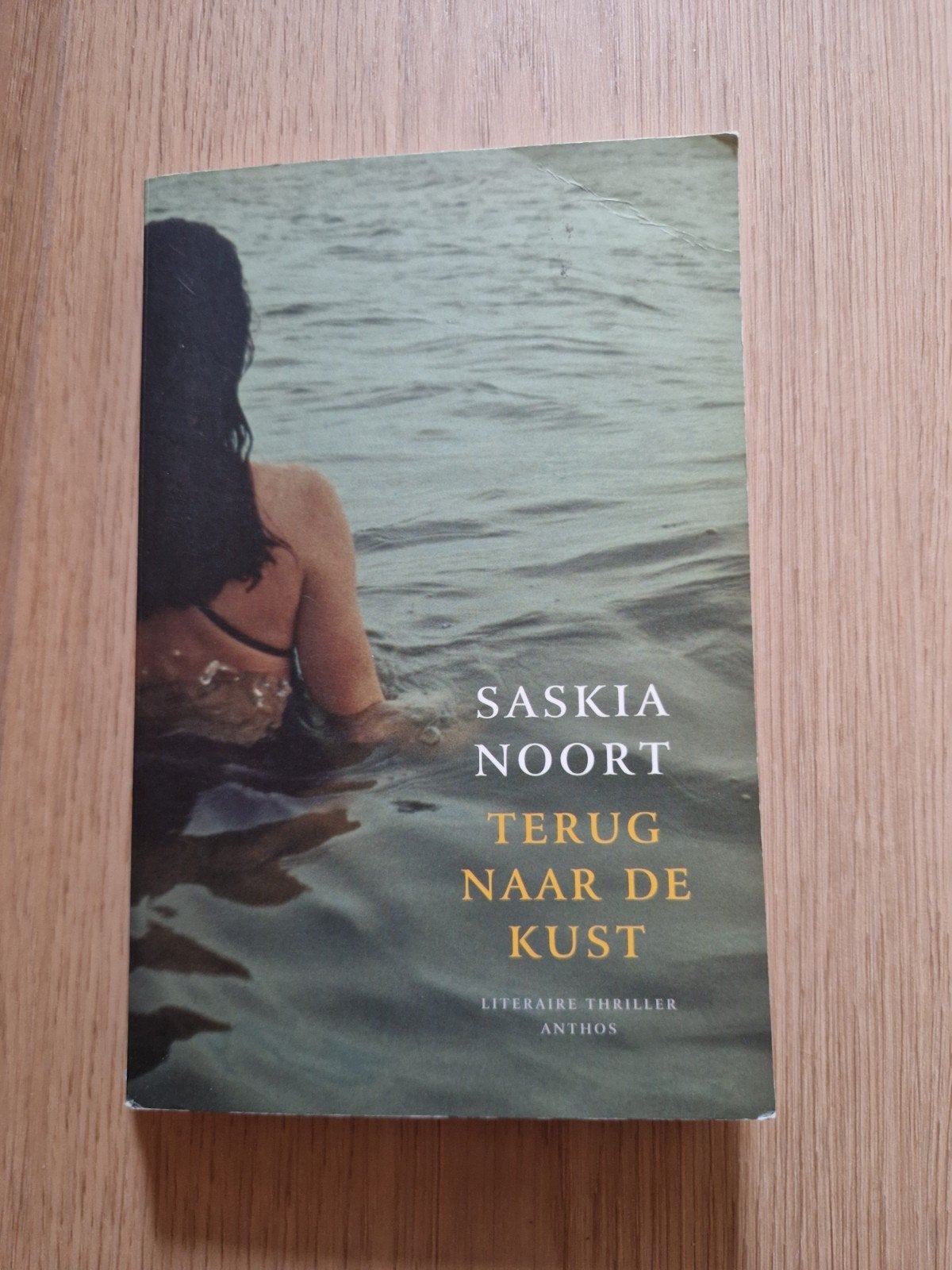 Terug Naar De Kust - Saskia Noort, Ophalen of Verzenden, Gelezen, Saskia Noort