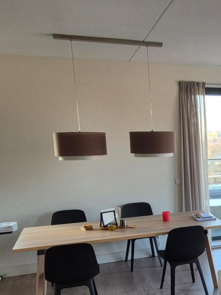 Double ceiling lamp, Ophalen