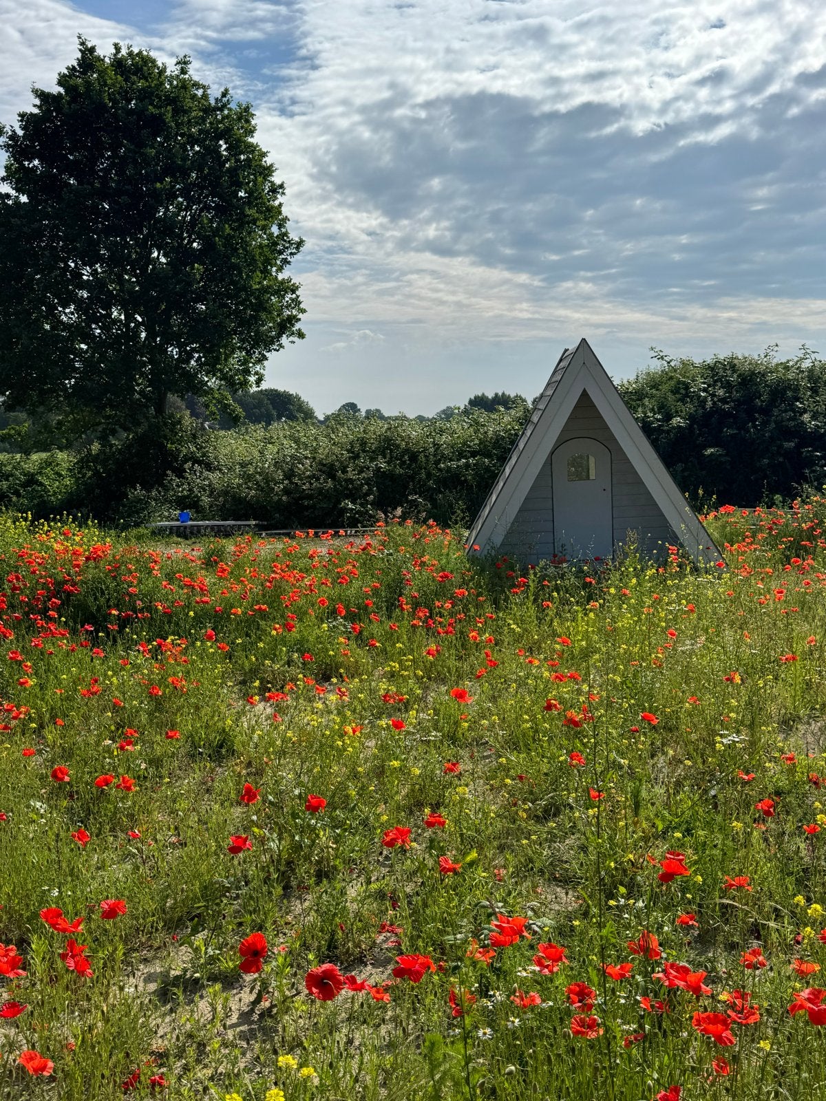Houten tentje / Tentje van hout 2 persoons, Ophalen, Zo goed als nieuw, Tot en met 2