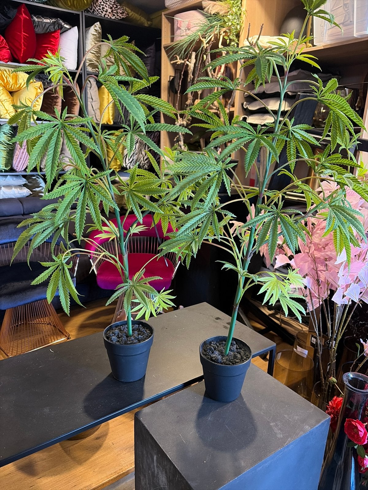 Decoratieve Cannabisplanten - Realistisch en Onderhoudsvrij, Tuin en Terras, Planten | Tuinplanten, Ophalen, Bloeit niet, Overige soorten