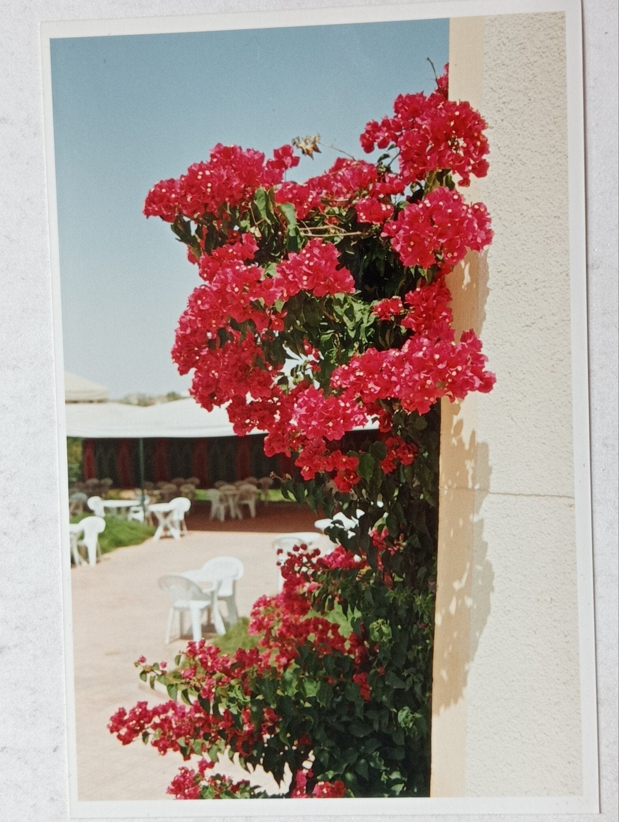Foto Marokko jaren 1990-2005, Ophalen of Verzenden, 1980 tot heden, Zo goed als nieuw, Overige onderwerpen