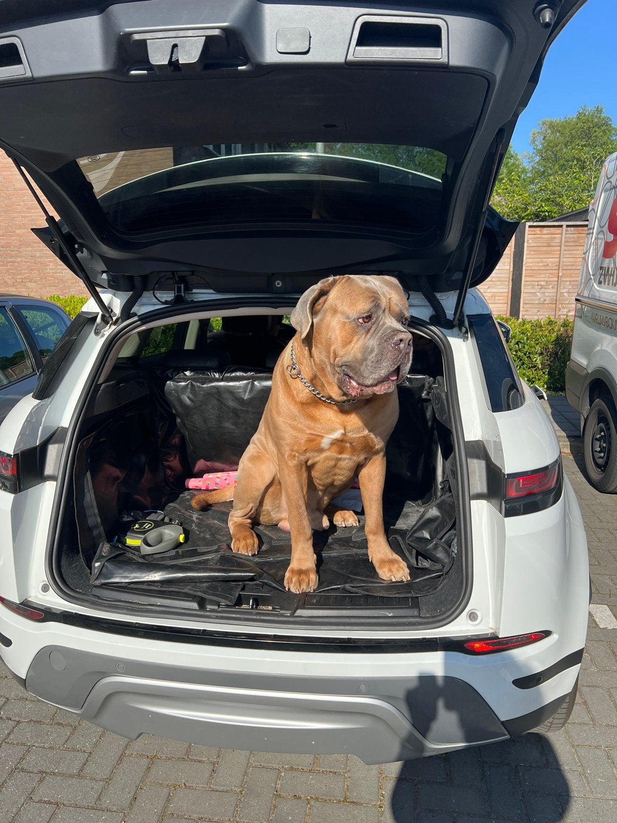 Kofferbak beschermhoes Range Rover Evoque 2020 - Hond, Ophalen, Gebruikt