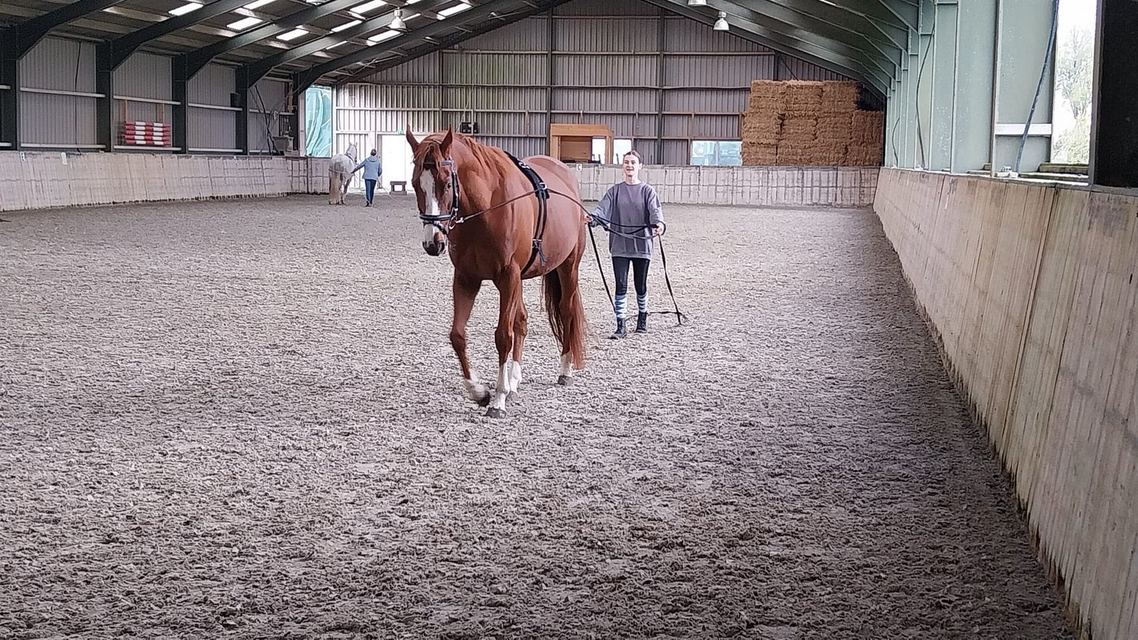 Lease/bijrijdpony of paard gezocht, Ophalen of Verzenden, Zo goed als nieuw