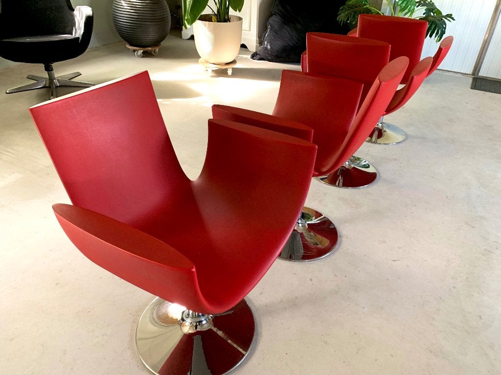 Sintesi Noa stoelen, Ophalen, Gebruikt, Vier