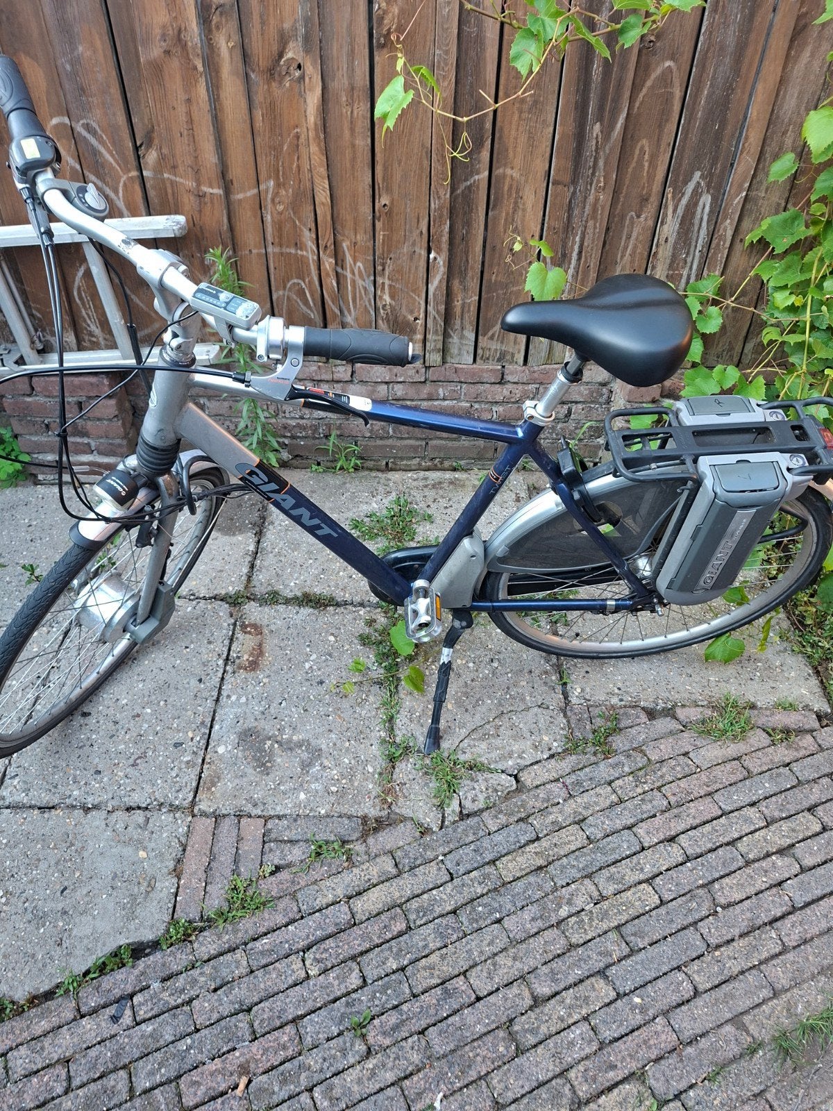 Giant elektrische herenfiets met 2 accu's, Fietsen en Brommers, Ophalen, Gebruikt, Giant