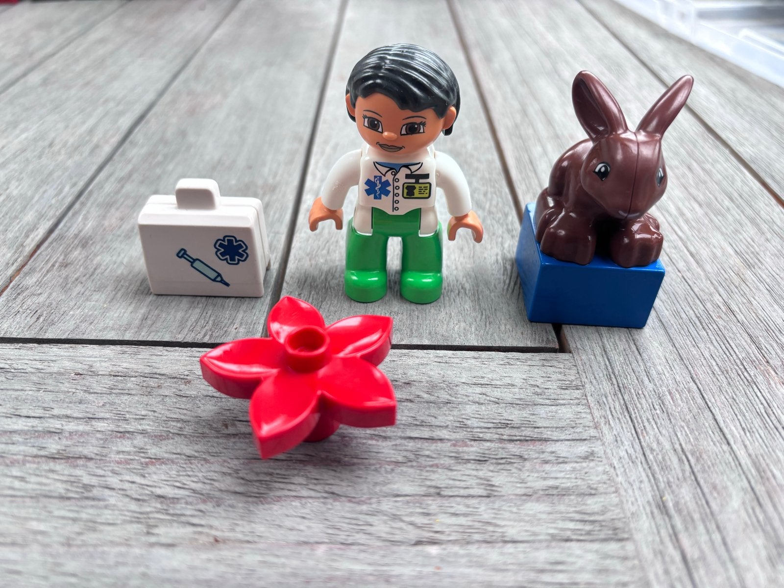 Duplo Dierenarts Set 5685 - Compleet, Gebruikt, Overige thema's, Ophalen of Verzenden, Compleet