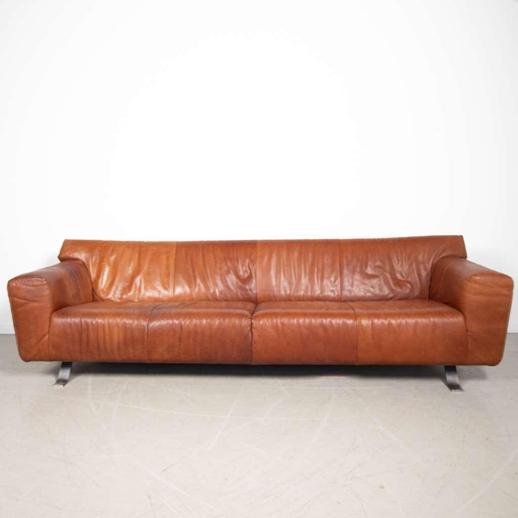 1x Label Santiago Bank 4-zits Buffalo Cognac Leer, Huis en Inrichting, Banken | Bankstellen, Niet ingevuld, 250 tot 300 cm, Niet ingevuld