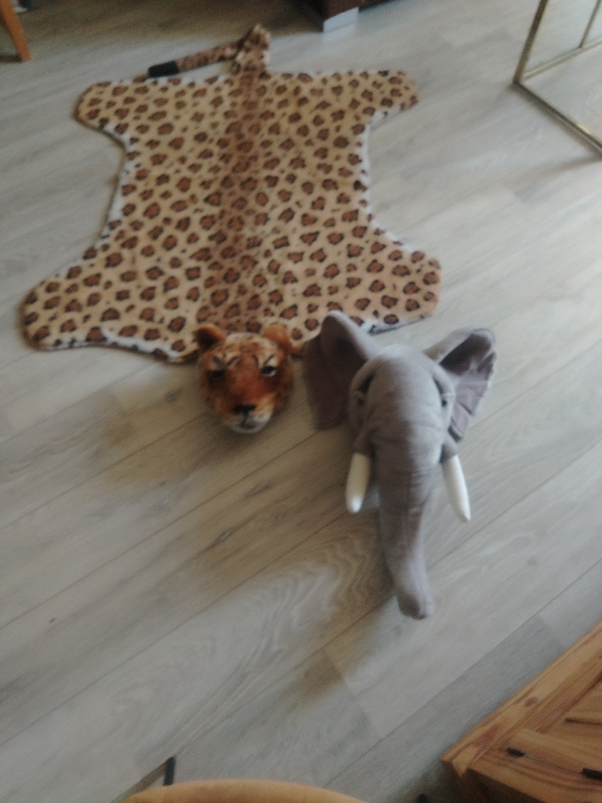 Leopard kleed en Olifant kop afmetingen in beschrijving, Ophalen of Verzenden, Zo goed als nieuw, Minder dan 140 cm, 70 tot 85 cm