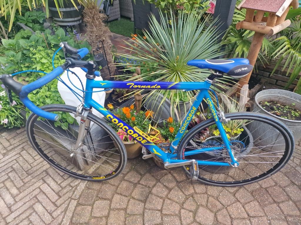 Concorde racefiets, Fietsen en Brommers, Zo goed als nieuw, 57 tot 61 cm, Meer dan 20 versnellingen, Ophalen