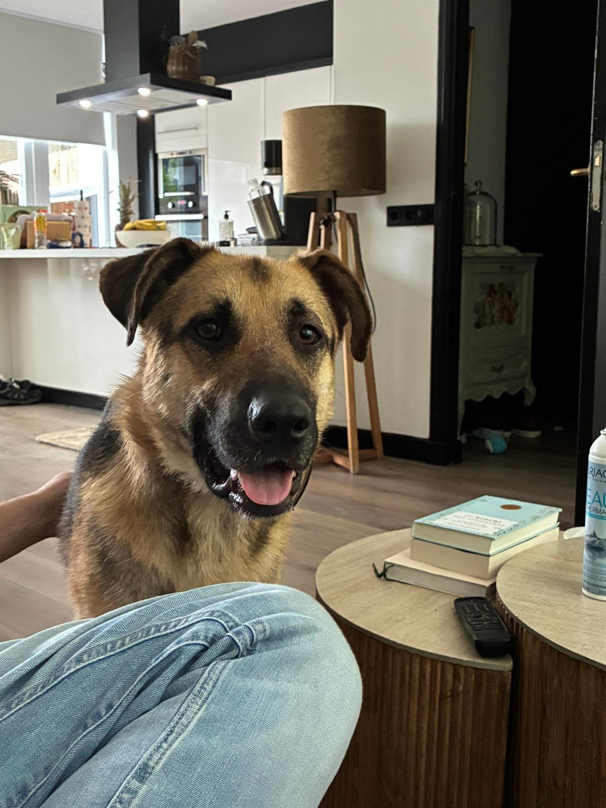 Lieve herder mix, Dieren en Toebehoren, Honden | Niet-rashonden, Particulier, Reu, Buitenland, Eén hond