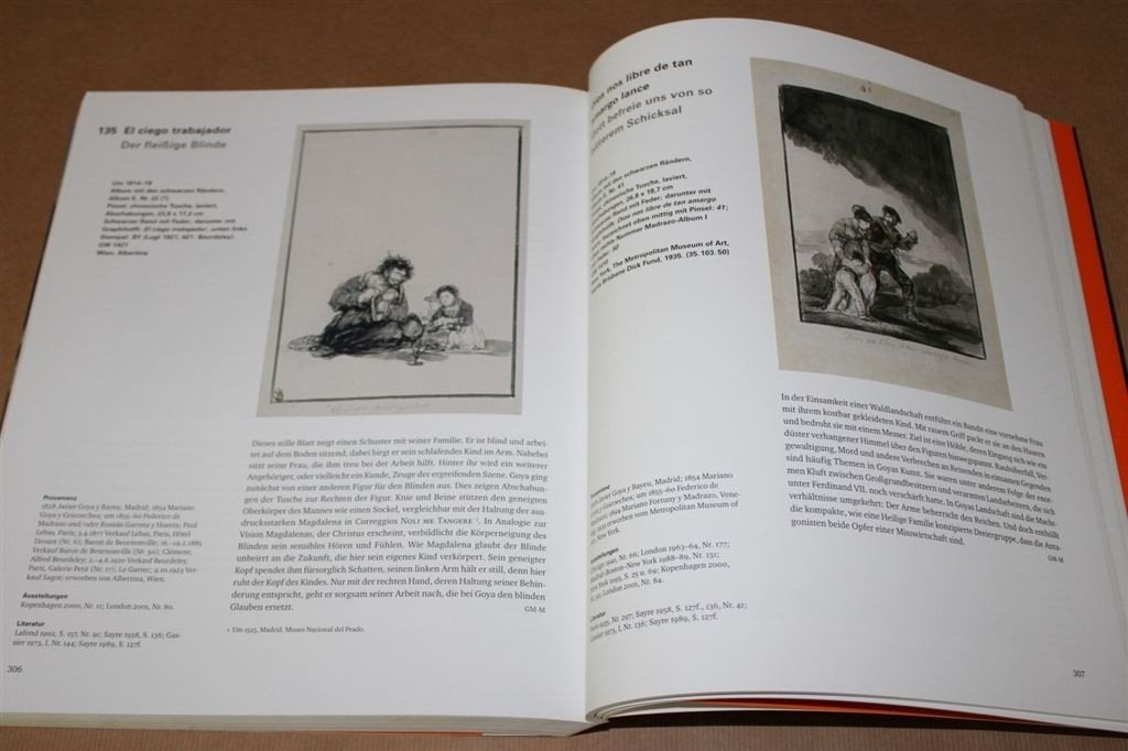 Dik boek. Goya. Profeet van de moderniteit., Ophalen of Verzenden, Zo goed als nieuw