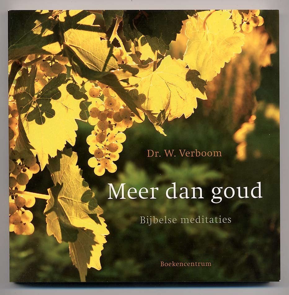 Meer dan goud - Dr. W. Verboom - De Bijbel Open meditaties, Nieuw, Christendom | Protestants, Ophalen of Verzenden, Dr. W. Verboom