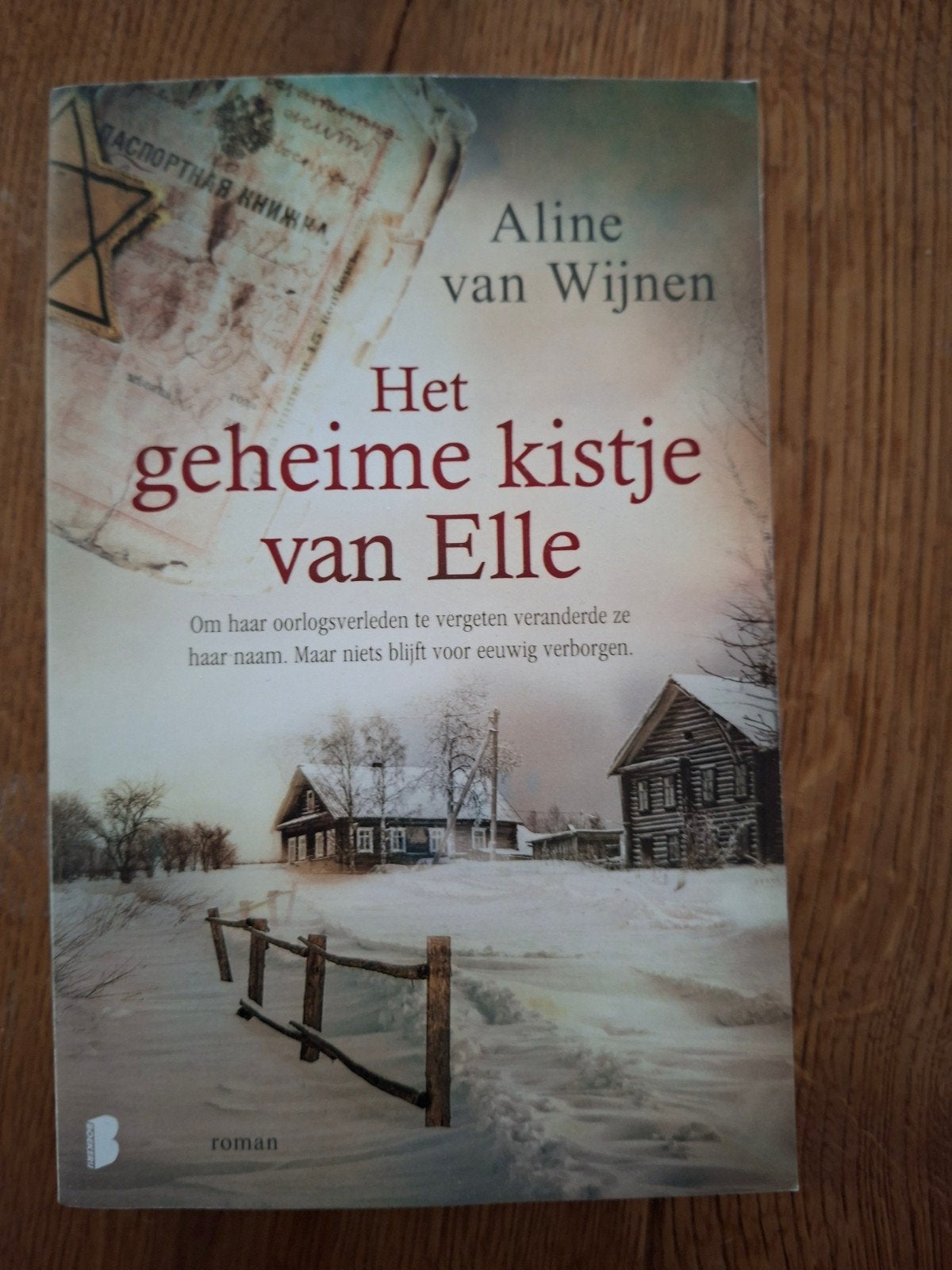 Het geheime kistje van Elle - Aline van Wijnen, Boeken, Ophalen of Verzenden, Zo goed als nieuw, Aline van Wijnen, Nederland