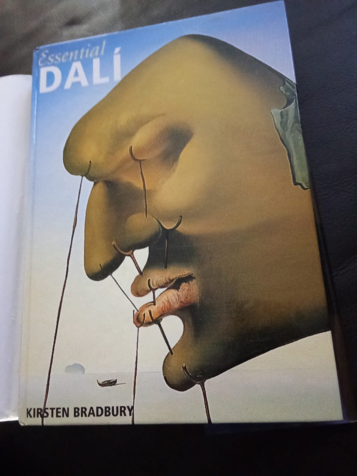 Essential Dali - Boek vol met platen in zeer goede staat, Ophalen of Verzenden, Zo goed als nieuw, Schilder- en Tekenkunst, Kirsten Bradbury