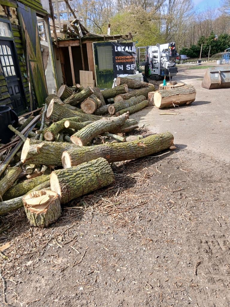 Brandhout, Tuin en Terras, Haardhout, Minder dan 3 m³, Ophalen of Verzenden