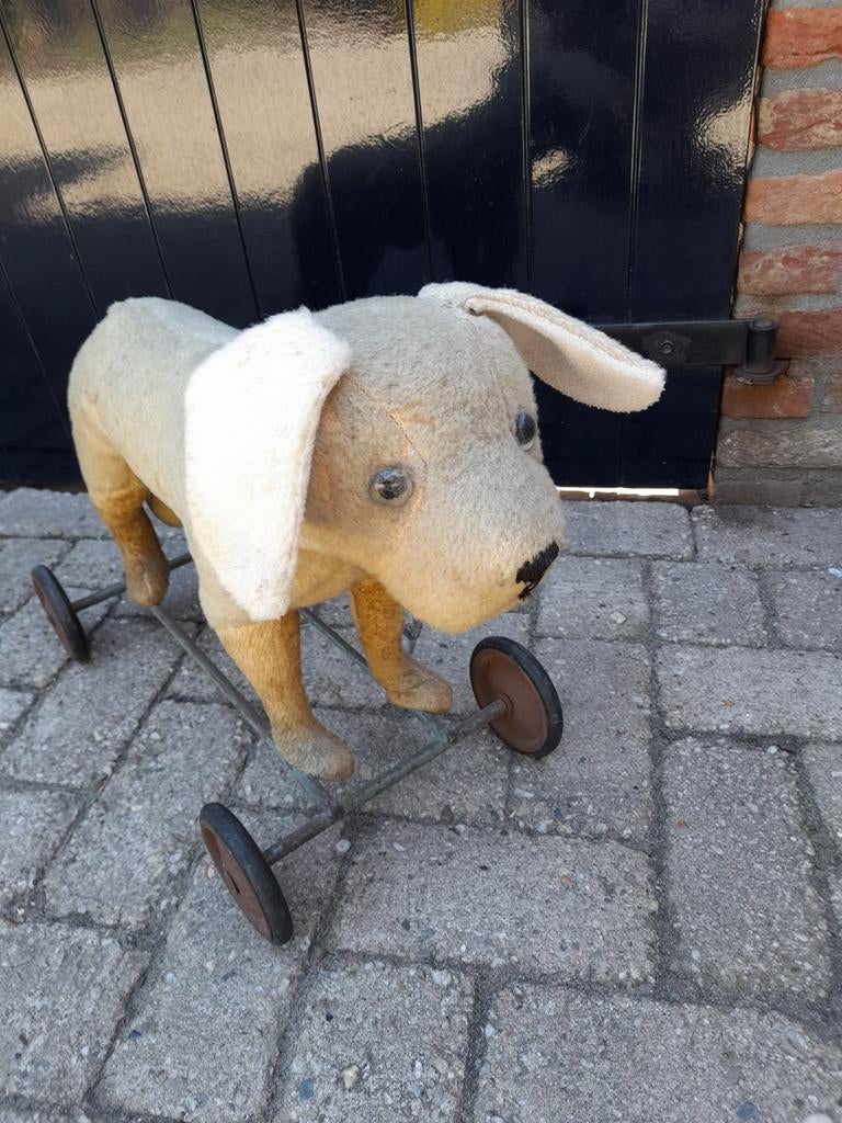 Oude sleetse hond op wielen, Ophalen