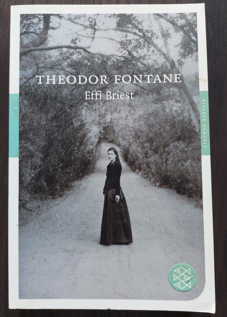 Effi Briest - Theodor Fontane, Verzenden, Gelezen